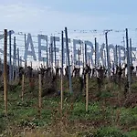 Les Toits du Tonnelier - 64 m2 - situation plein centre médiéval - sauna - 2 garages * Kaysersberg-Vignoble