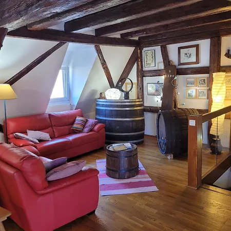 Les Toits Du Tonnelier - 64m2 - Plein Centre Medieval - Sauna - Garage * Kaysersberg-Vignoble