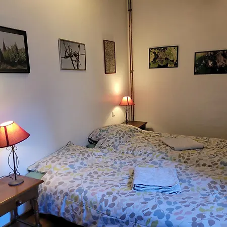 Apartment Les Toits Du Tonnelier - 64m2 - Plein Centre Medieval - Sauna - Garage