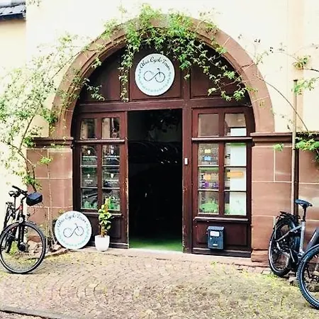 Les Toits Du Tonnelier - 64 M2 - Situation Plein Centre Medieval - Sauna - 2 Garages * Kaysersberg-Vignoble