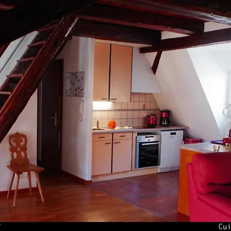 Les Toits Du Tonnelier - 64 M2 - Situation Plein Centre Medieval - Sauna - 2 Garages Kaysersberg-Vignoble