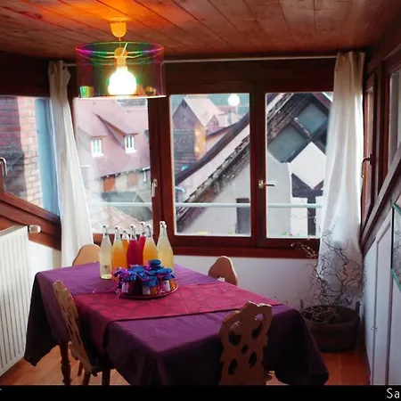 Les Toits Du Tonnelier - 64 M2 - Situation Plein Centre Medieval - Sauna - 2 Garages * Kaysersberg-Vignoble