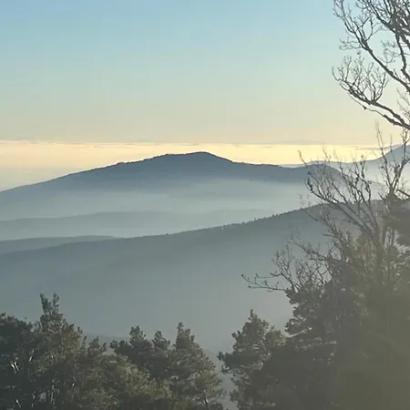 Les Toits Du Tonnelier - 64 M2 - Situation Plein Centre Medieval - Sauna - 2 Garages Lejlighed Kaysersberg-Vignoble