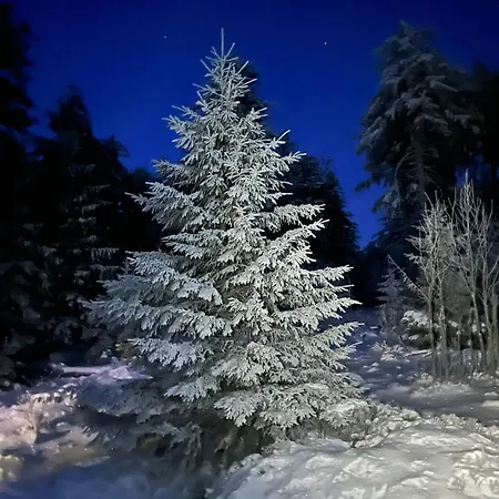 Les Toits Du Tonnelier - 64 M2 - Situation Plein Centre Medieval - Sauna - 2 Garages *