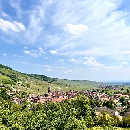 Les Toits Du Tonnelier - 64 M2 - Situation Plein Centre Medieval - Sauna - 2 Garages Lejlighed