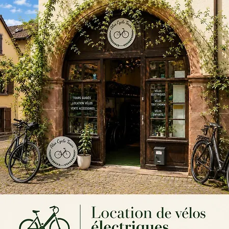 Les Toits Du Tonnelier - 64m2 - Plein Centre Medieval - Sauna - Garage Kaysersberg-Vignoble