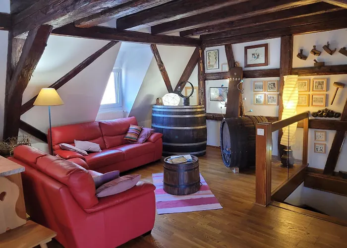 Les Toits Du Tonnelier - 64 M2 - Situation Plein Centre Medieval - Sauna - 2 Garages * Kaysersberg-Vignoble