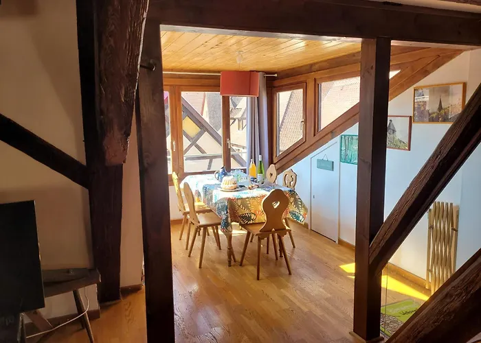 Apartment Les Toits Du Tonnelier - 64 M2 - Situation Plein Centre Medieval - Sauna - 2 Garages *