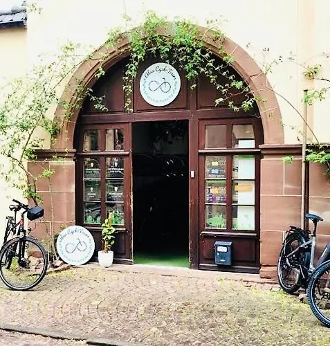 Les Toits Du Tonnelier - 64 M2 - Situation Plein Centre Medieval - Sauna - 2 Garages * Kaysersberg-Vignoble