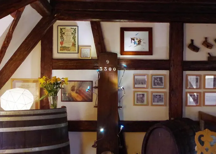 Apartment Les Toits Du Tonnelier - 64 M2 - Situation Plein Centre Medieval - Sauna - 2 Garages