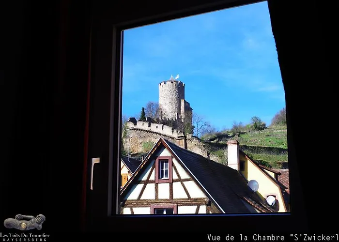 Apartment Les Toits Du Tonnelier - 64 M2 - Situation Plein Centre Medieval - Sauna - 2 Garages Kaysersberg-Vignoble