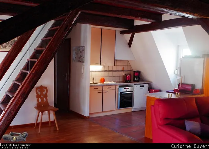 Les Toits Du Tonnelier - 64 M2 - Situation Plein Centre Medieval - Sauna - 2 Garages Kaysersberg-Vignoble