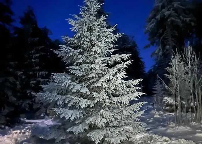 Les Toits Du Tonnelier - 64 M2 - Situation Plein Centre Medieval - Sauna - 2 Garages *